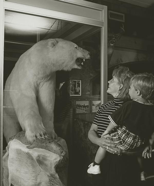 Visitors beside the polar bear display at Ole’s.